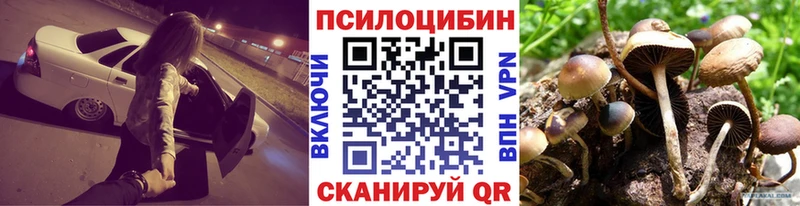 Галлюциногенные грибы Cubensis  Купить закладки  Верея 